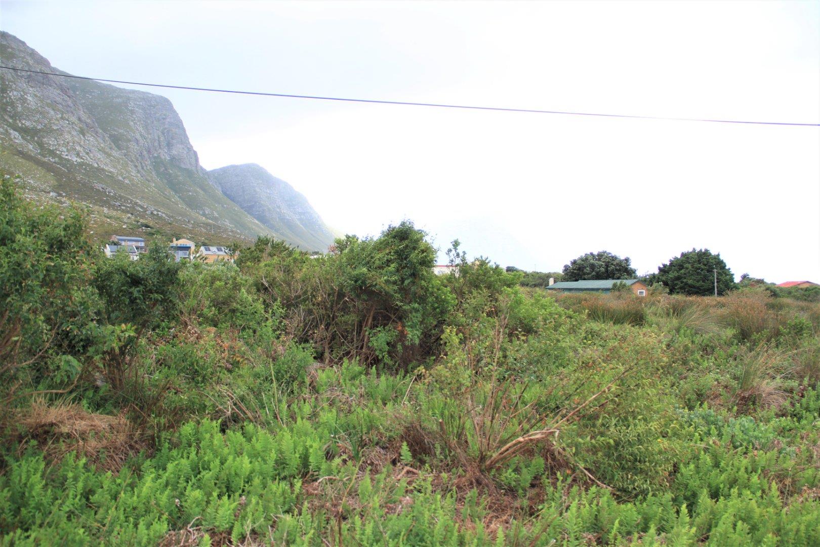 Vacant land / plot for sale in Bettys Bay 132 Disa Circle P24110852419