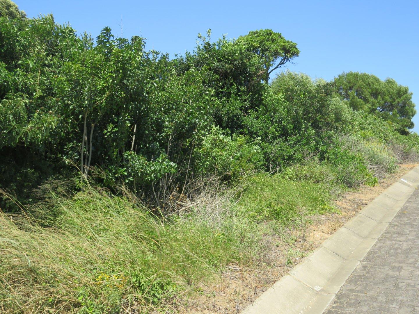 Property and houses for sale in Port Alfred Port Alfred Property