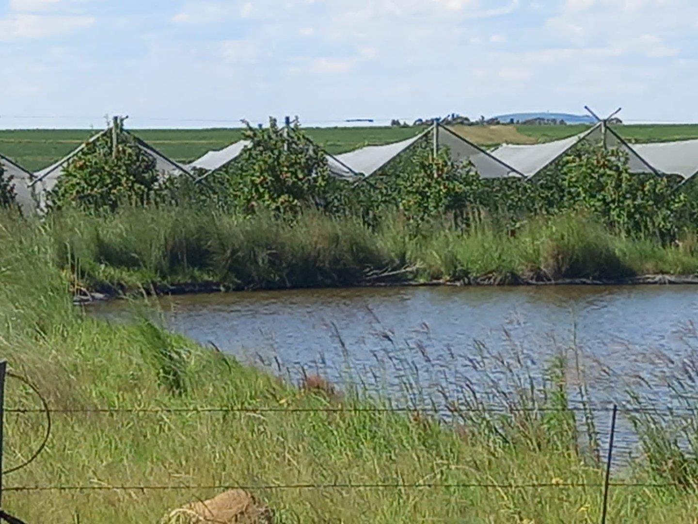 Bethlehem Rural Property Property and houses for sale in Bethlehem