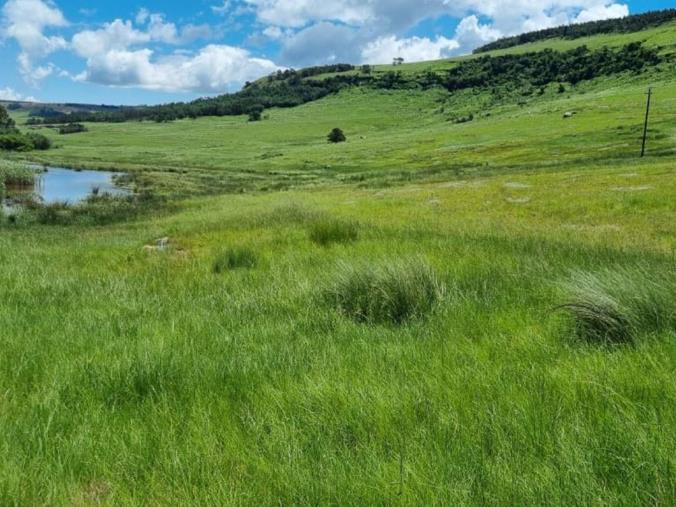 Farm for Sale in Vryheid