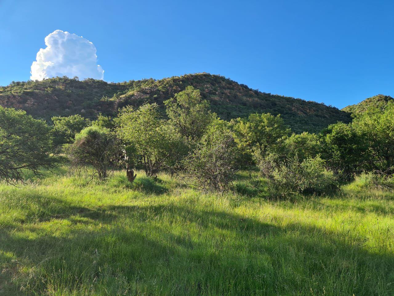 Farm for sale in Parys Rural P24110954450