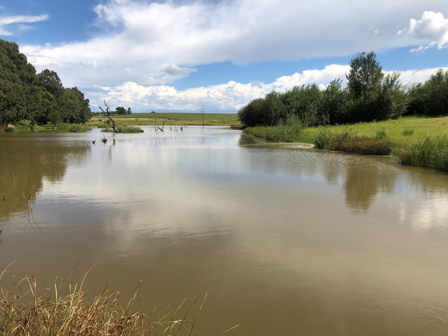 Farm for sale in Bethlehem Rural P24110955984