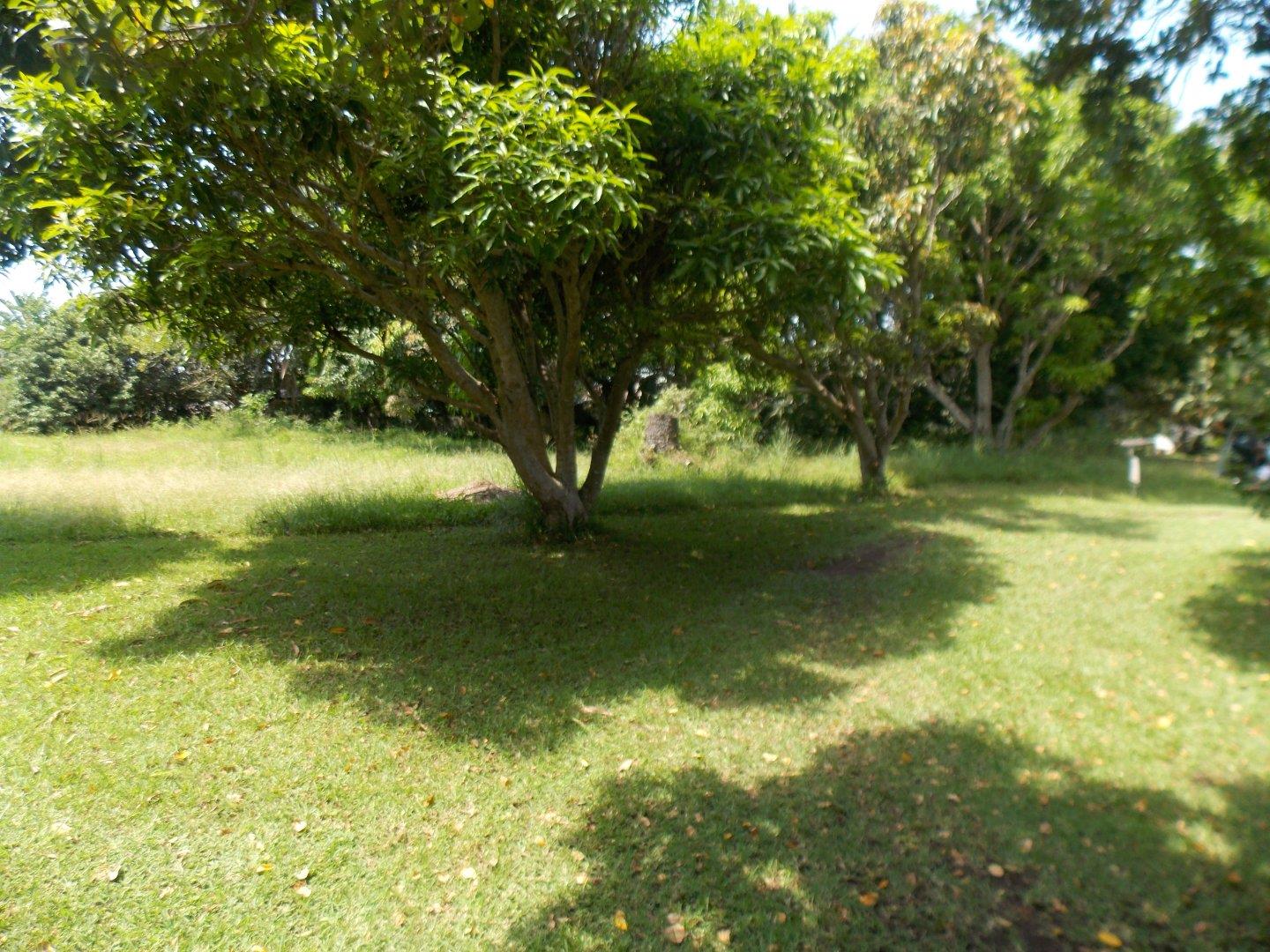 Vacant land / plot for sale in Glenmore 52 Lagoon Cresent P24110959058
