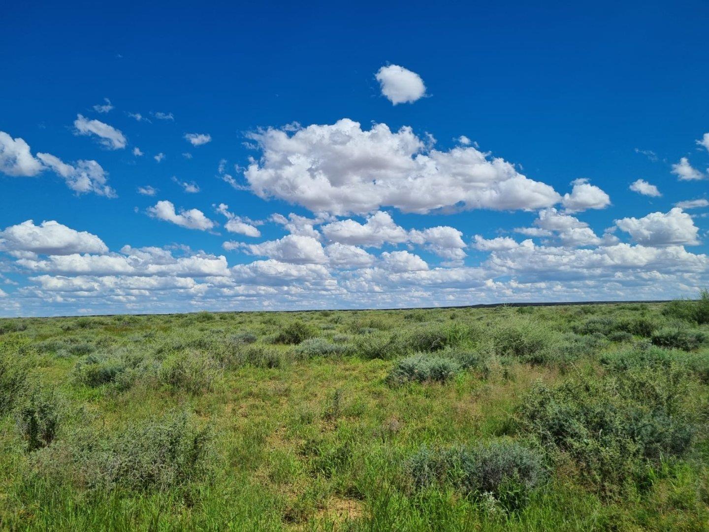 Carnarvon Rural Property Property and houses for sale in Carnarvon