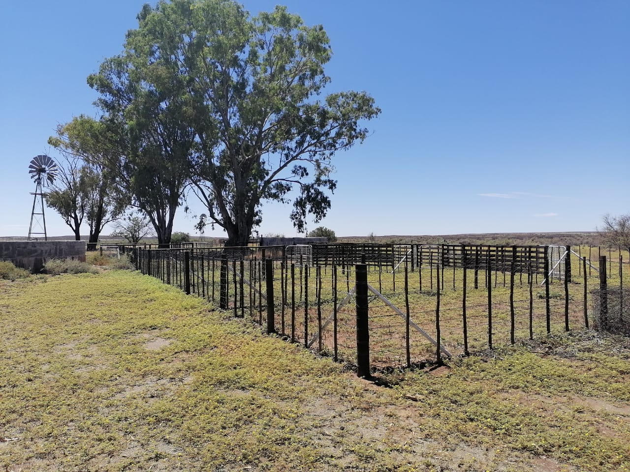 Property and houses for sale in Williston Williston Property