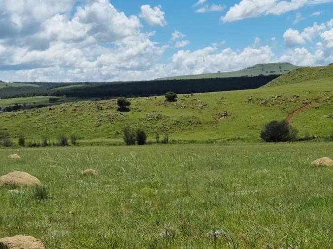 Farm for Sale in Vryheid