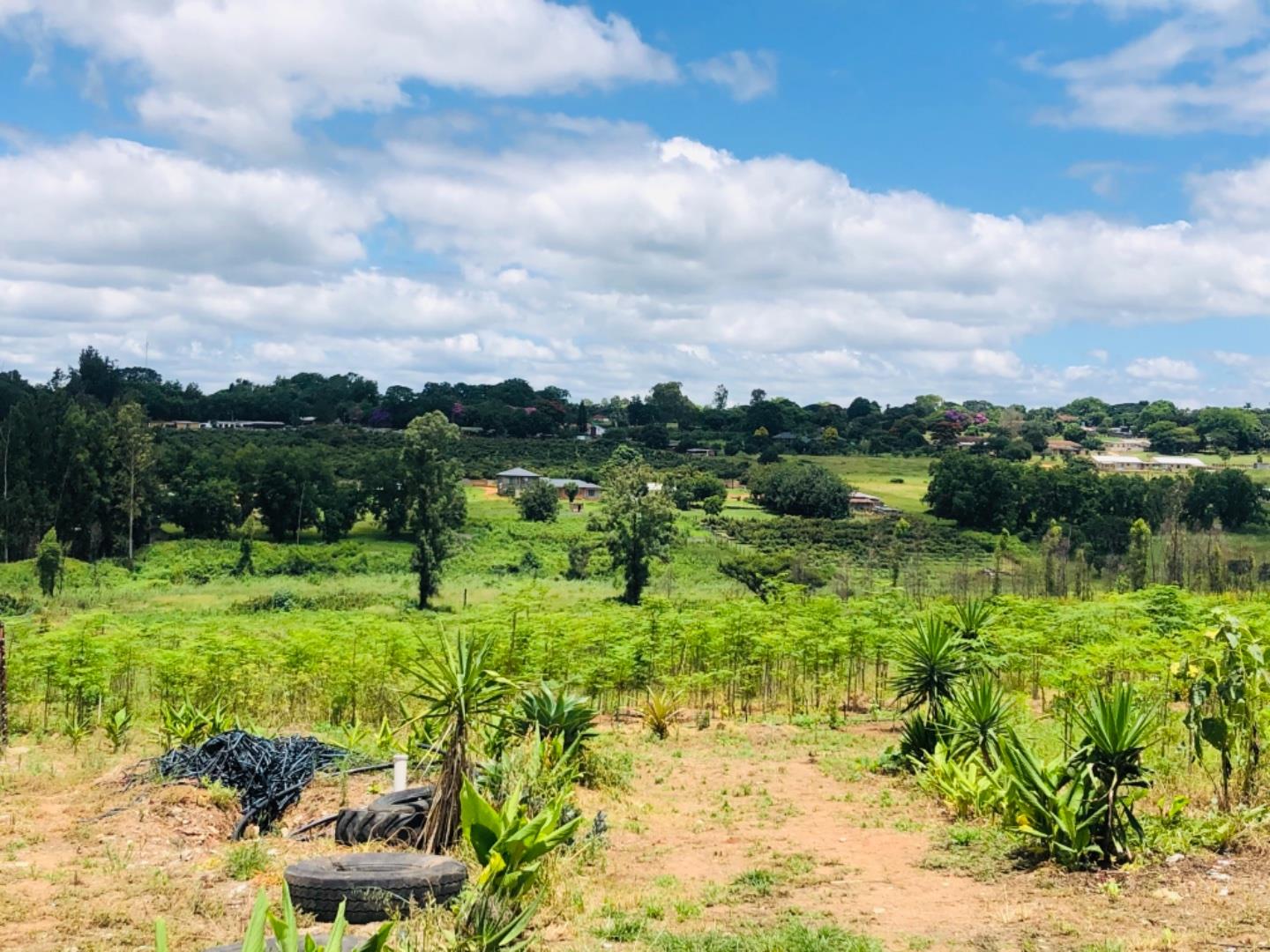 Vacant land / plots for sale in White River White River Property