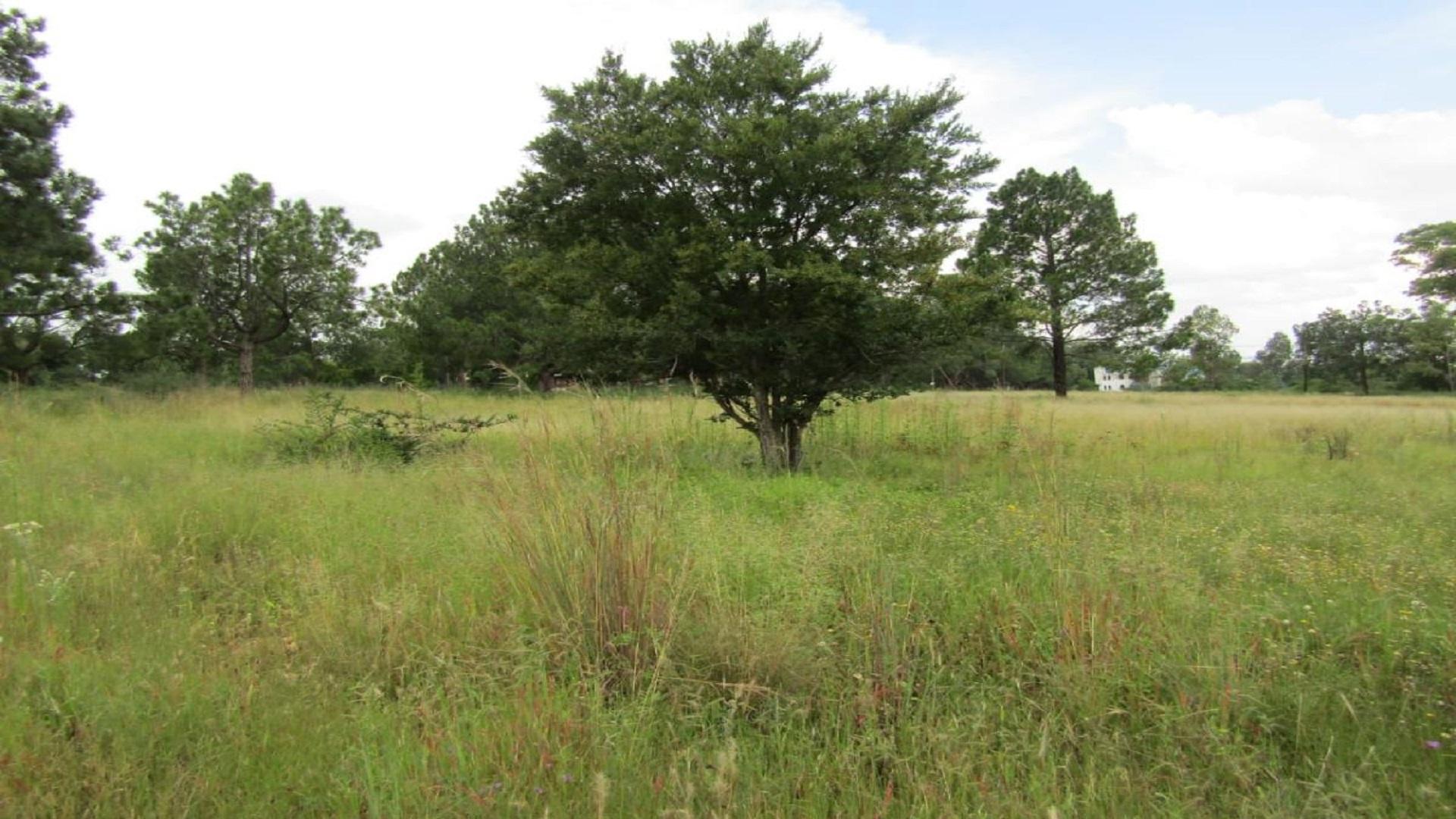 Vaal Dam Property Houses for sale in Vaal Dam Page 9