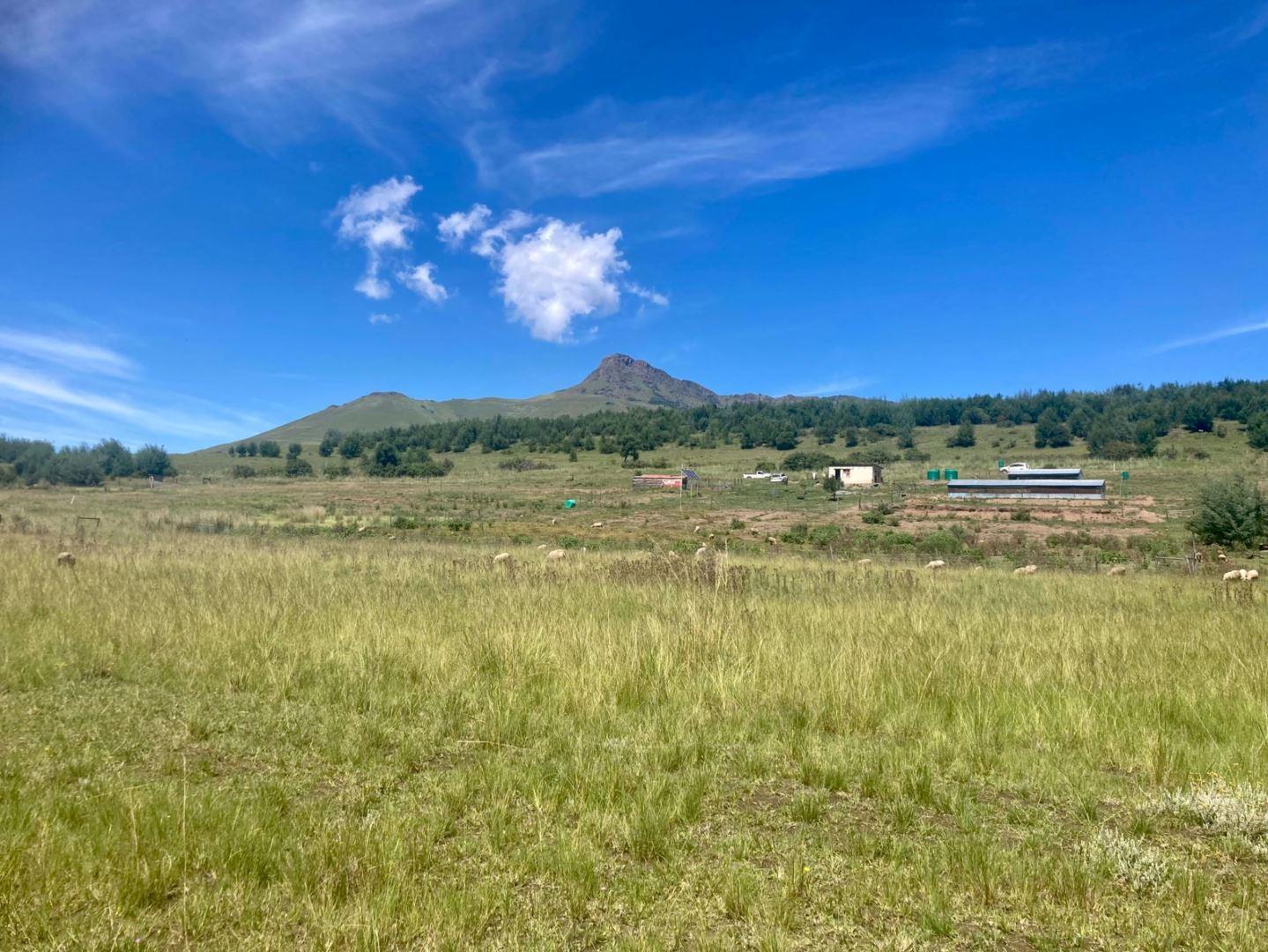 Vacant land / plot for sale in Kokstad R617 P24110567184