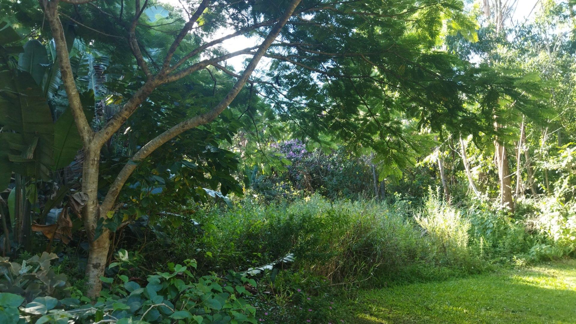 Vacant land / plot for sale in Three Hills 940 Tenby Avenue P24