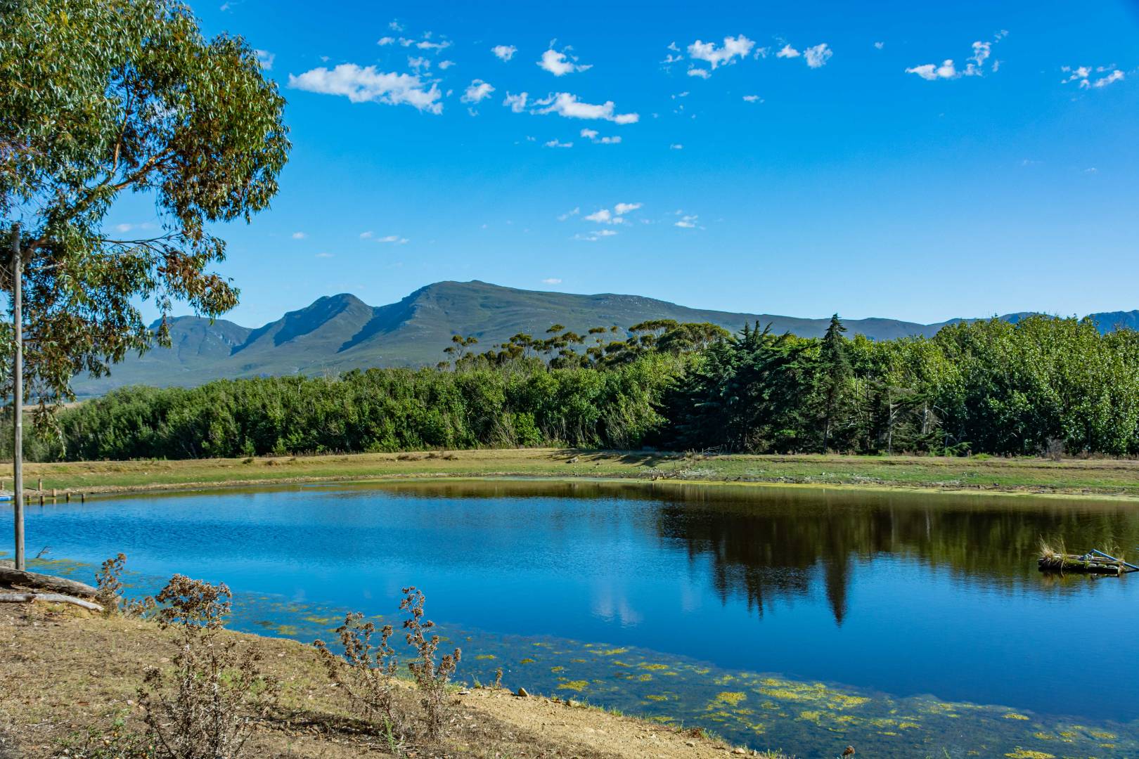 Farms for sale in Stanford Stanford Property