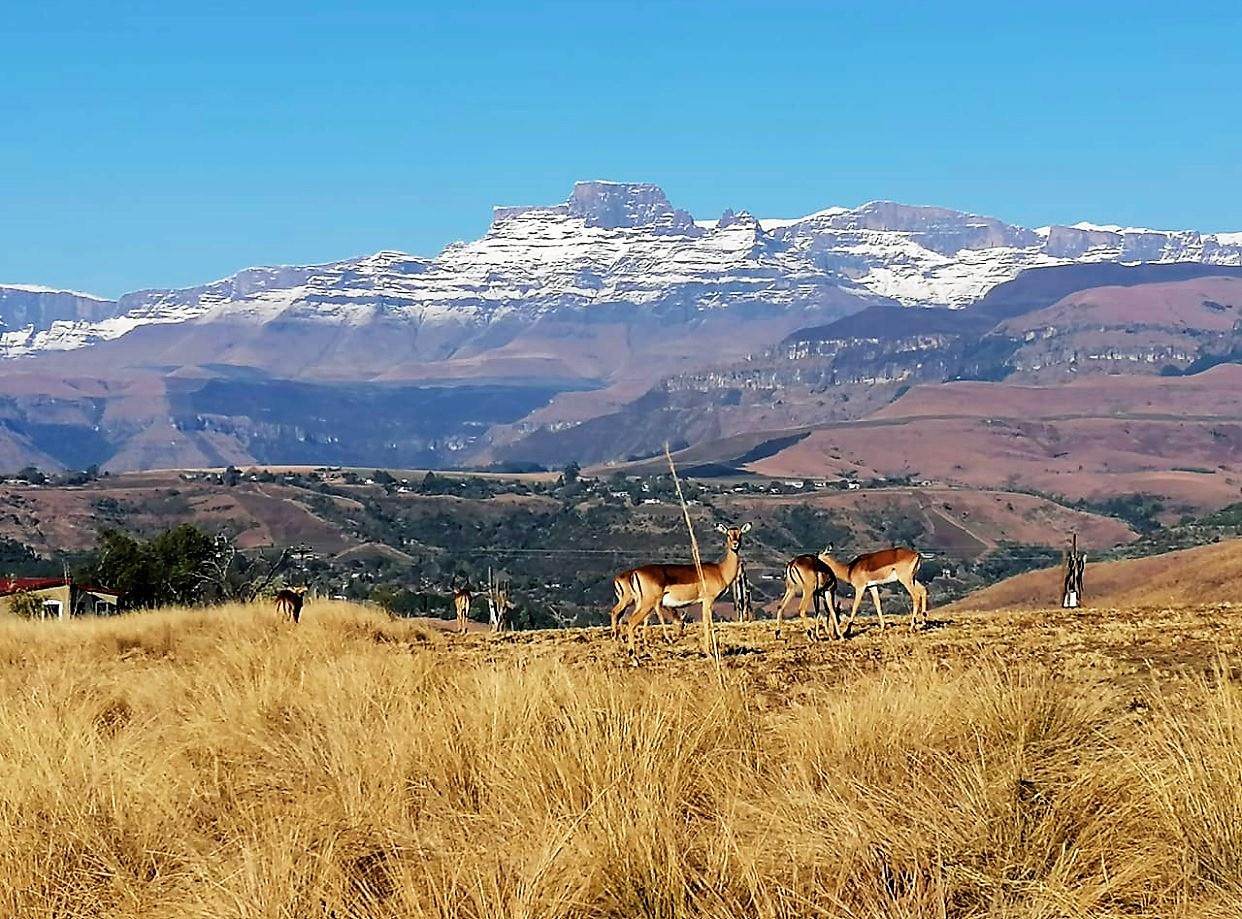 Farm for sale in Winterton P24111096290