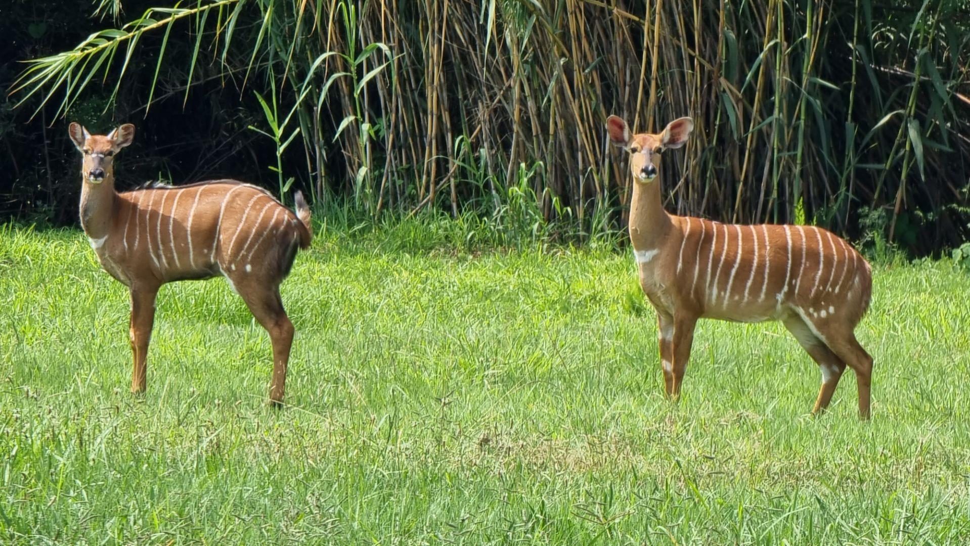 Blair Atholl Golf Estate Property Property and houses for sale in