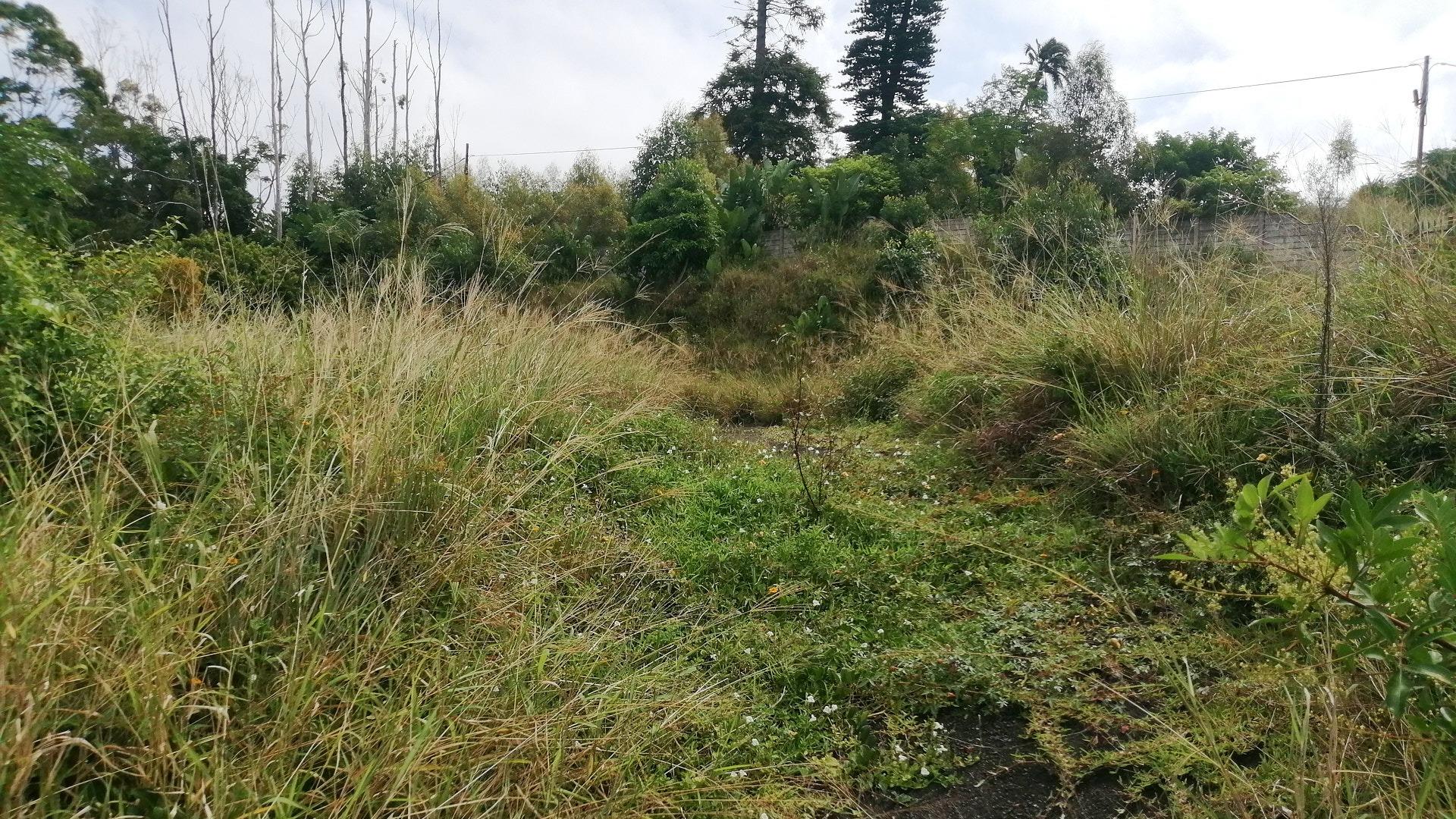 Vacant land / plot for sale in Margate P24111136362