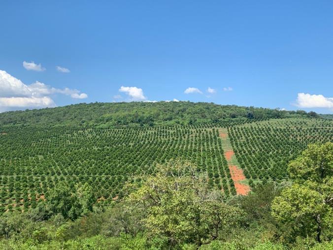 Farm for Sale in Agatha Park