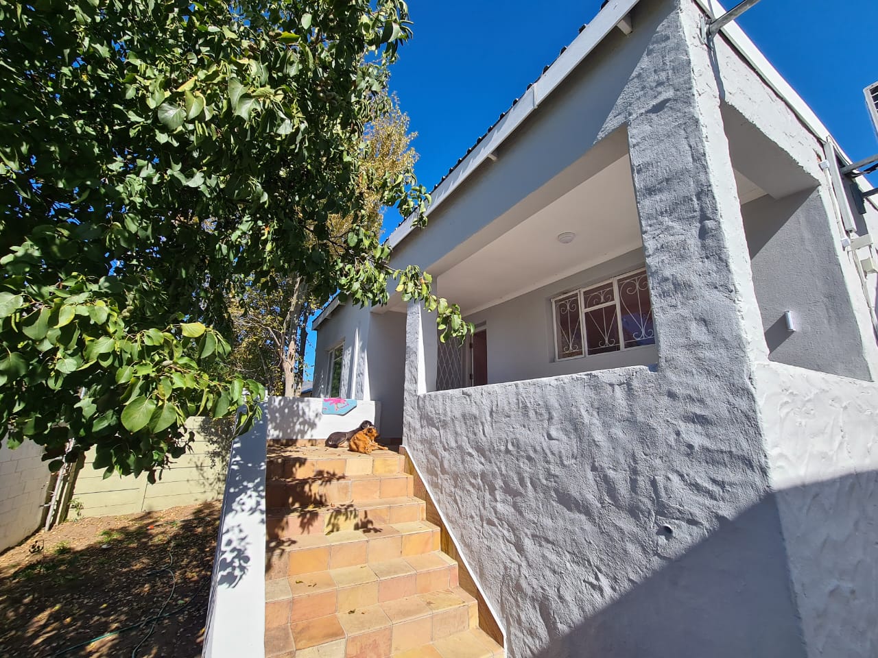 Pniel Property Property and houses to rent in Pniel