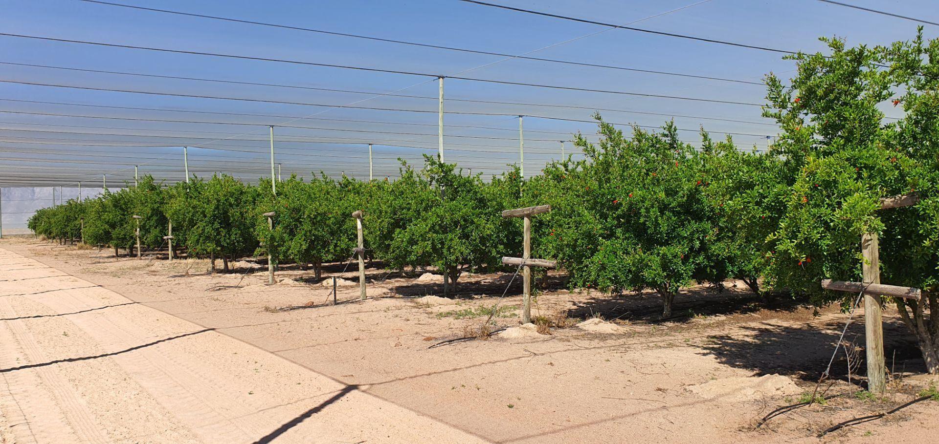 Property and houses for sale in Porterville Porterville Property