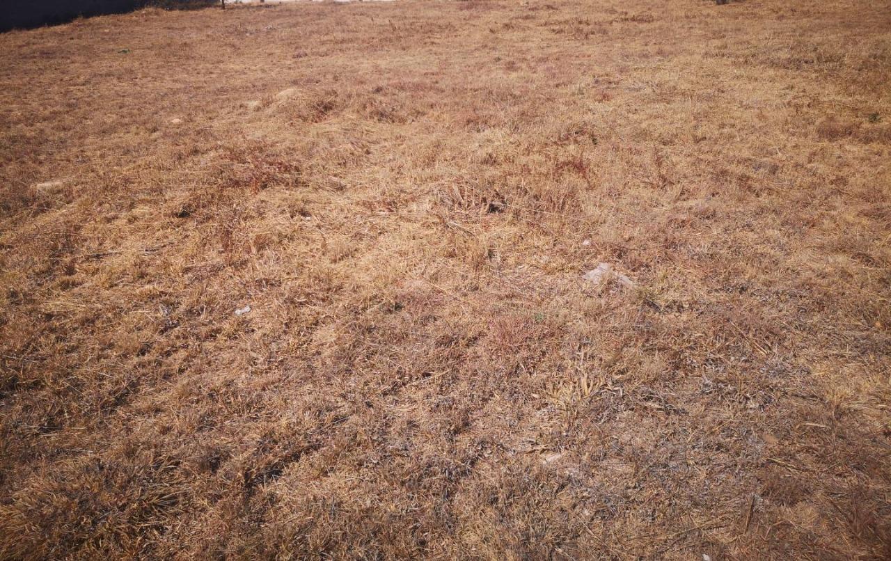 Ntuzuma Property Vacant land / plots for sale in Ntuzuma