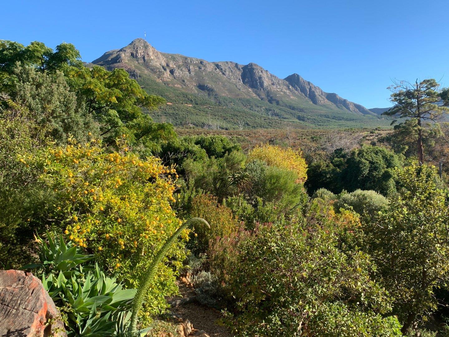 Vacant land / plots for sale in Cape Town Cape Town Property