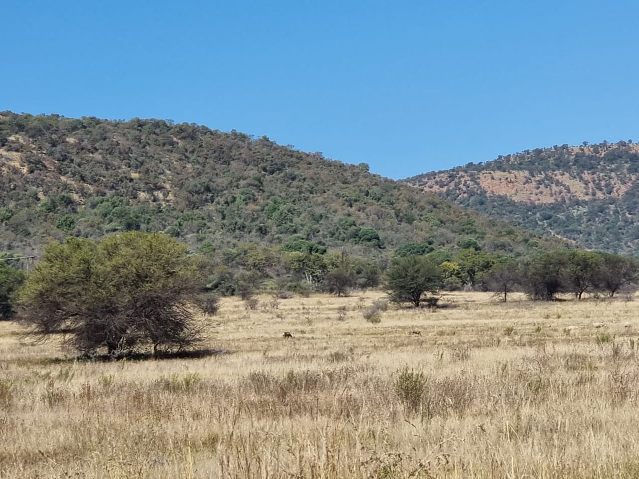 Property and houses for sale in Viljoenskroon Viljoenskroon Property