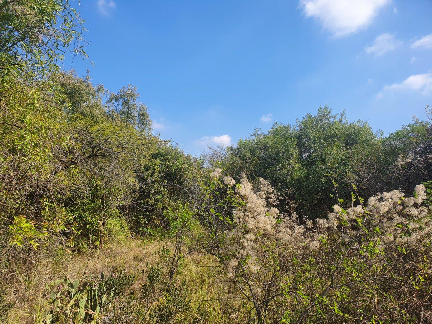 Vacant land / plots for sale in Pretoria Pretoria Property