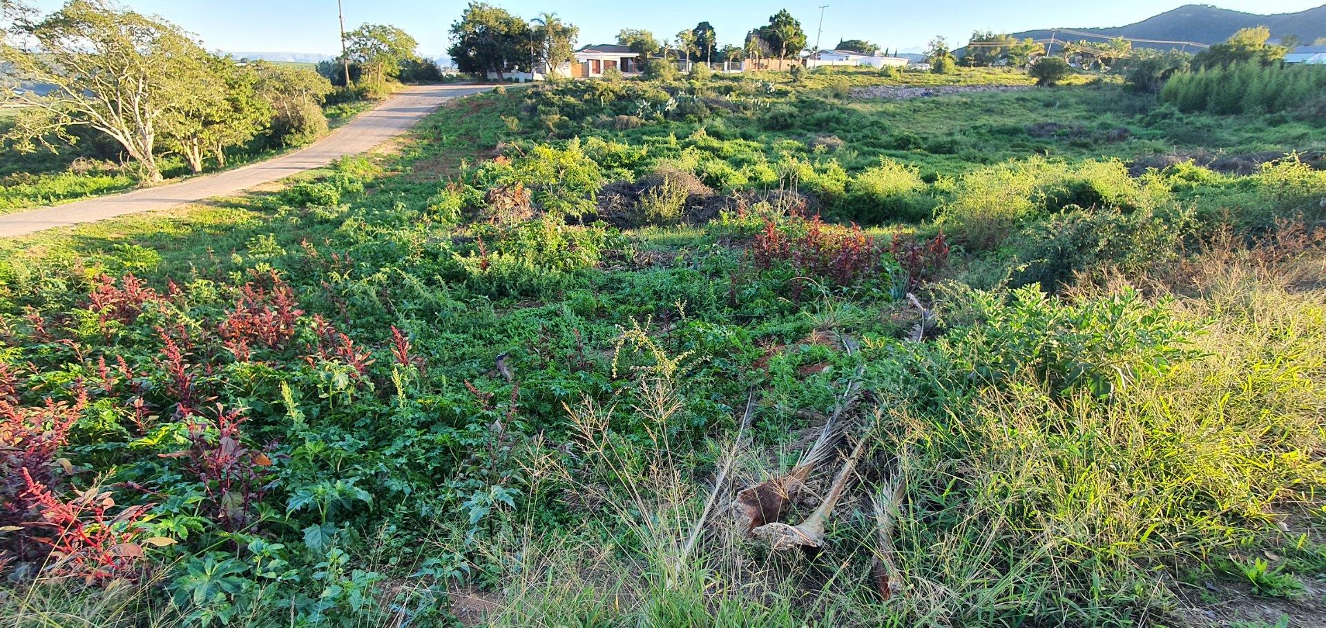 Vacant land / plot for sale in Patensie P24111342532