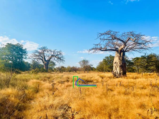 Farm for Sale in Lusaka West