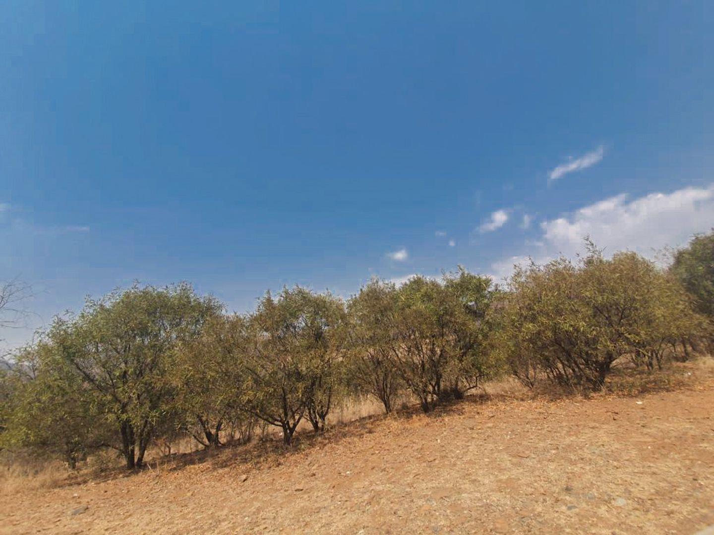Vacant land / plot for sale in Xanadu Nature Estate 621 Wild Olive