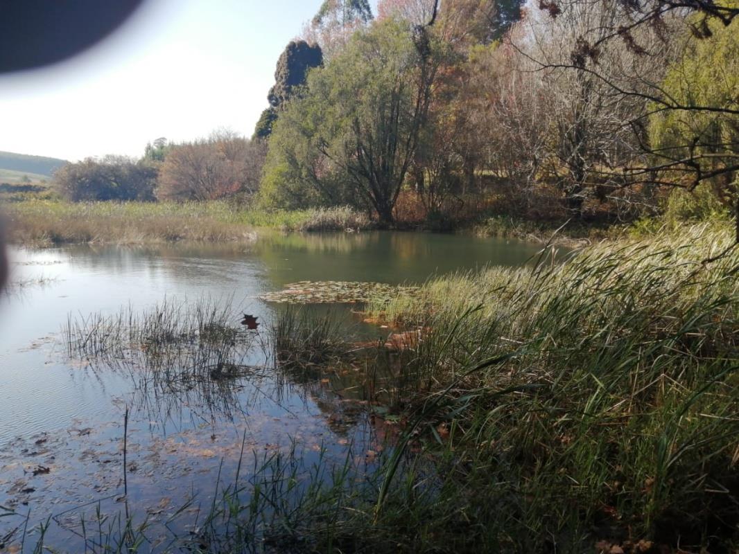 Vacant land / plot for sale in Richmond 19 Old Richmond Road P24