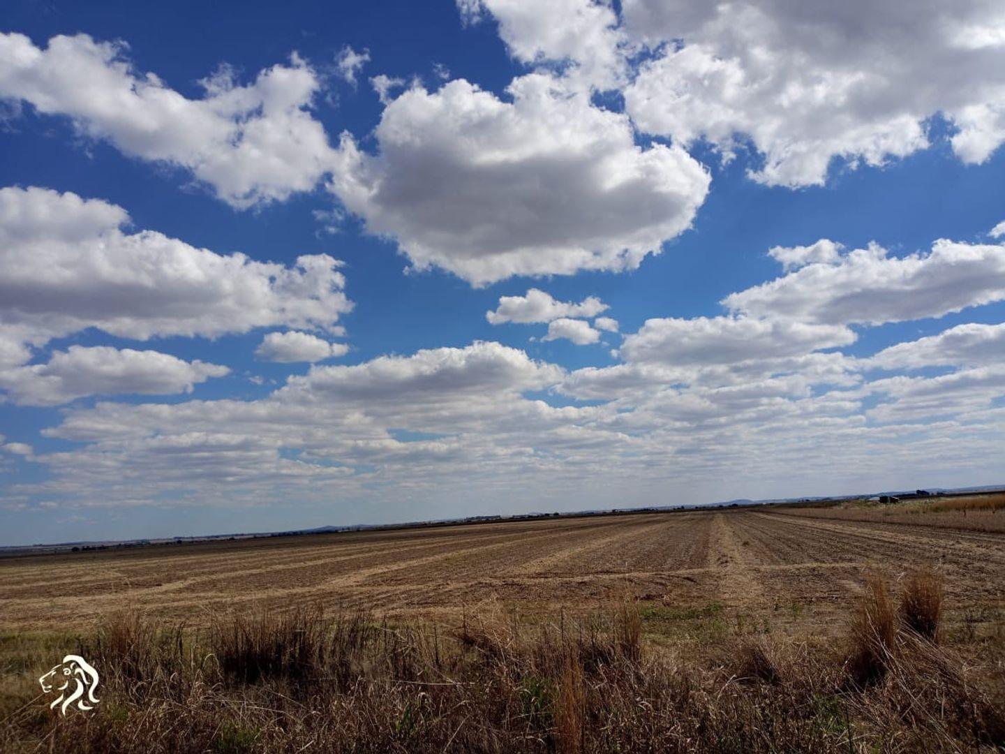 Property and houses for sale in Koppies Koppies Property Property24