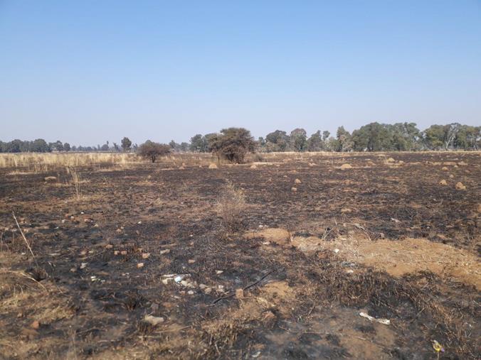 Vacant Land / Plot for Sale in De Deur