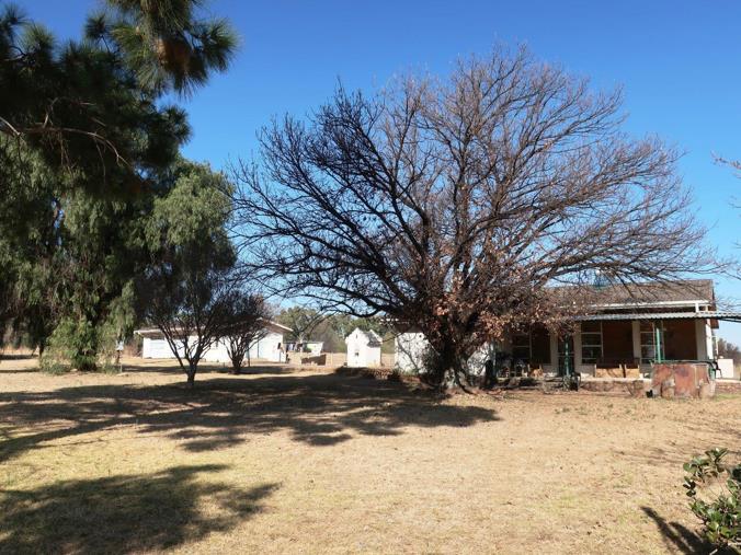 Farm for Sale in Parys