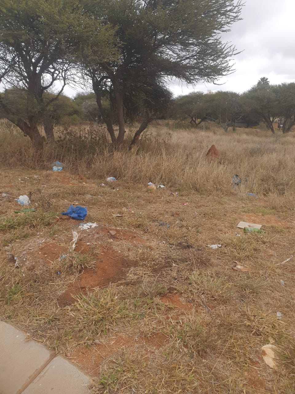 Vacant land / plot for sale in Dendron P24111499110