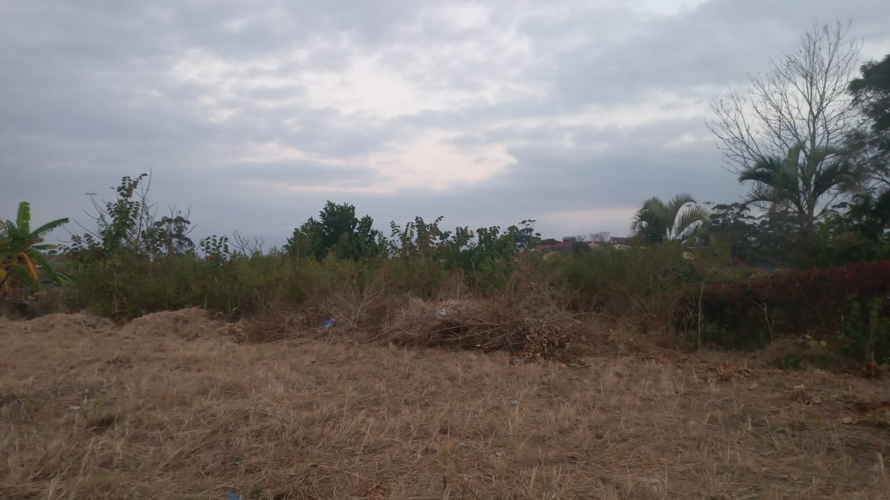 Vacant land / plot for sale in Marburg P24111520329