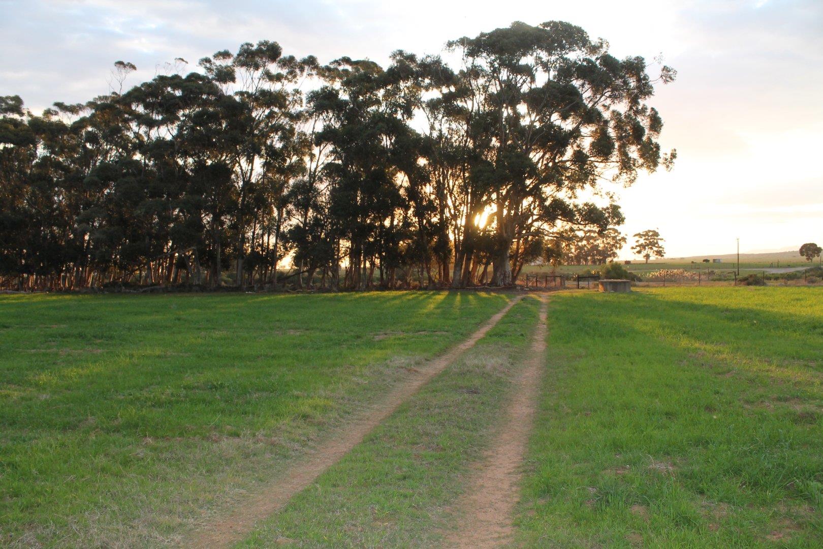 Farms for sale in Riversdale Riversdale Property