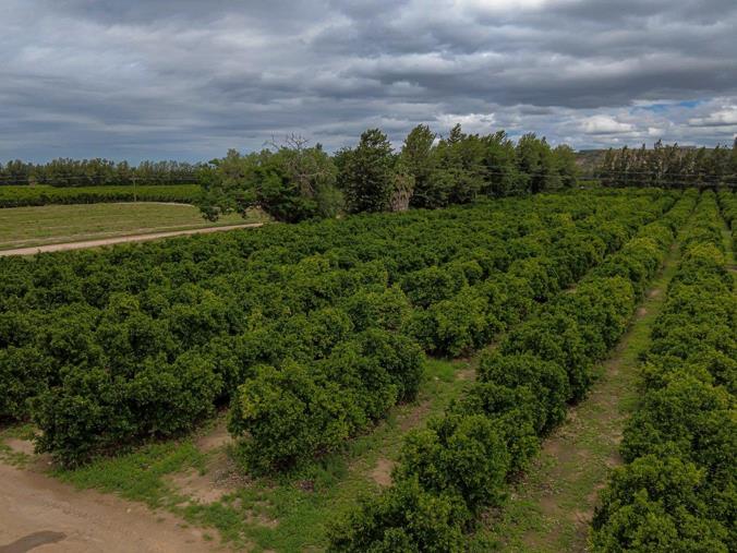 Farm for Sale in Kirkwood Rural