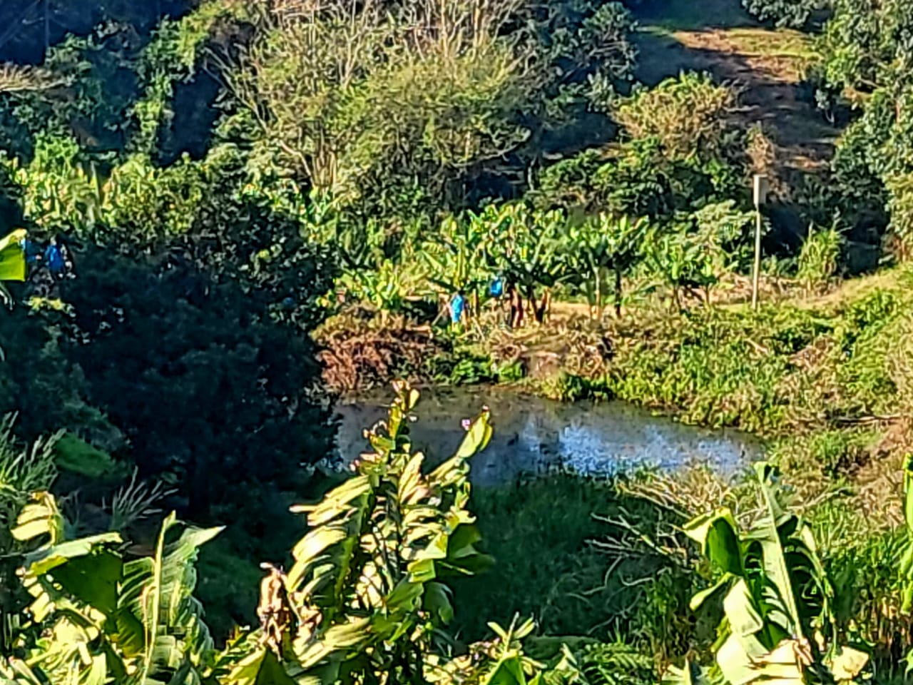 Farm for sale in Ramsgate P24112146899