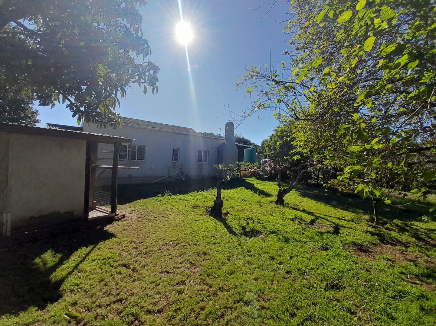 Property and houses to rent in Bathurst Bathurst Property