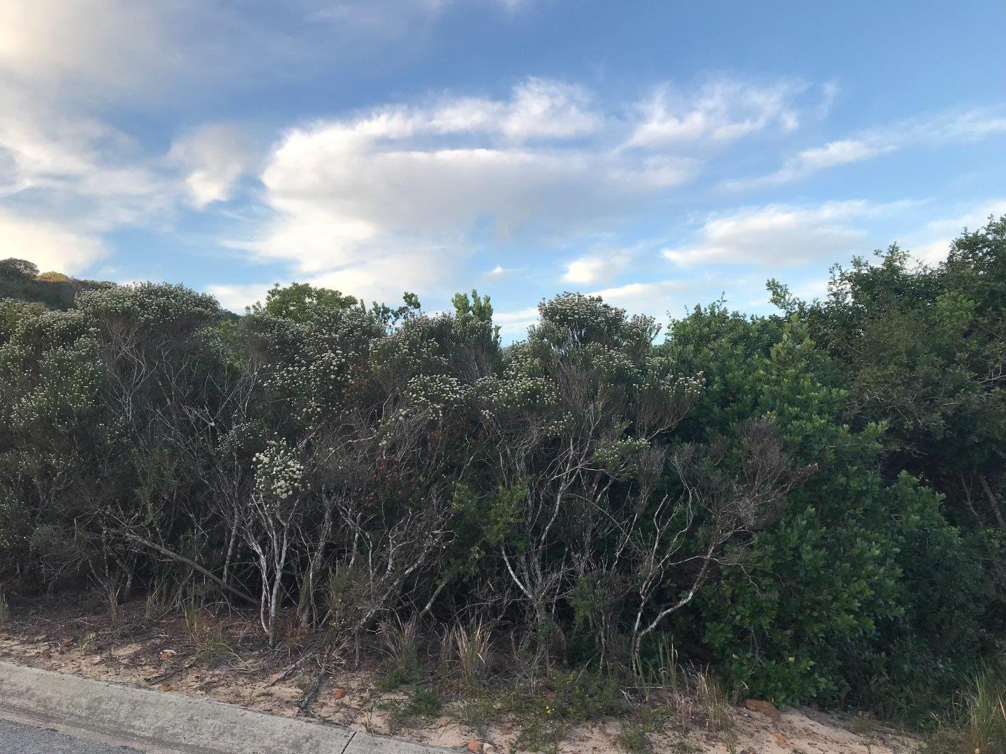 Vacant land / plot for sale in Gamtoos Mouth 28 Hoepeo Hill Road