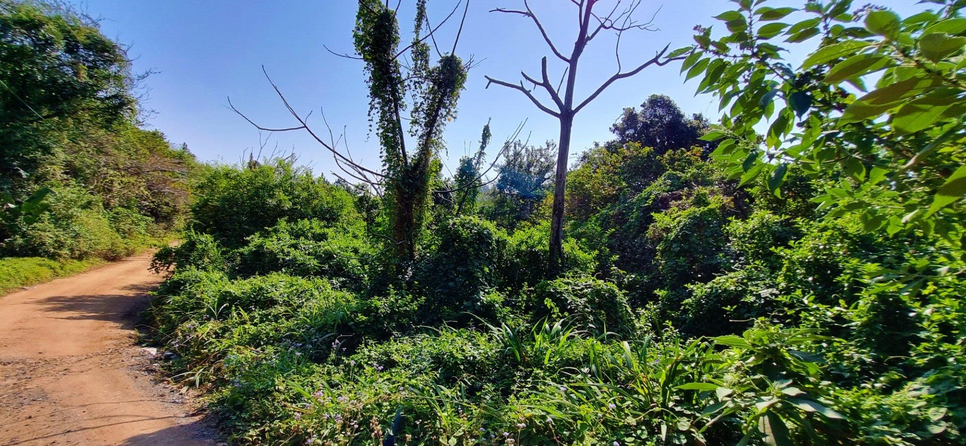 Vacant land / plots for sale in Margate Margate Property Property24