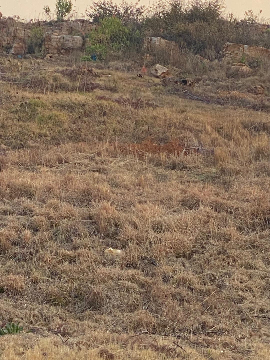 Vacant land / plot for sale in Krugersdorp Central Rustenburg Road