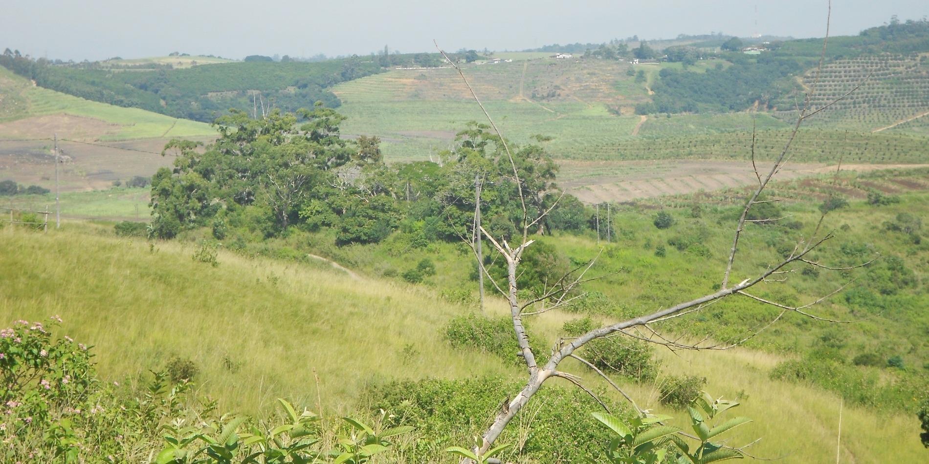 Vacant land / plot for sale in Port Shepstone Rural P24111661089