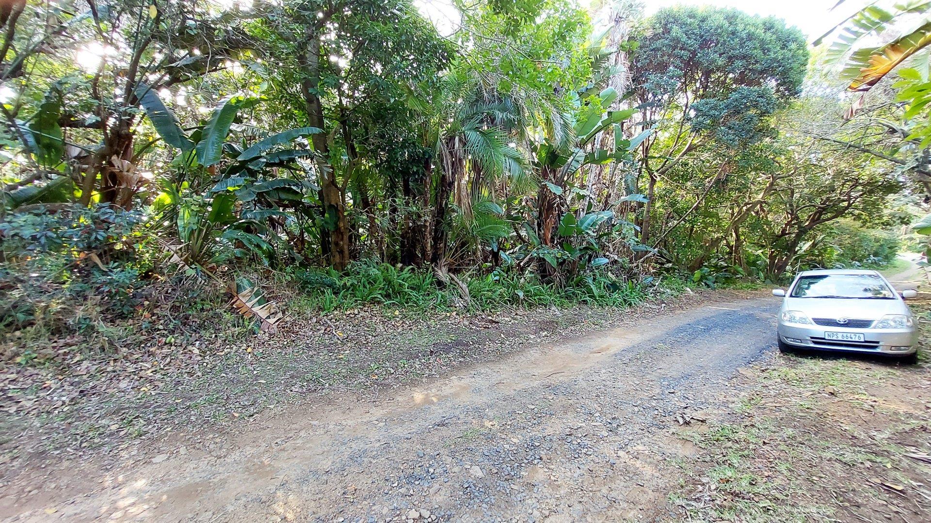 Vacant land / plots for sale in Port Edward Port Edward Property