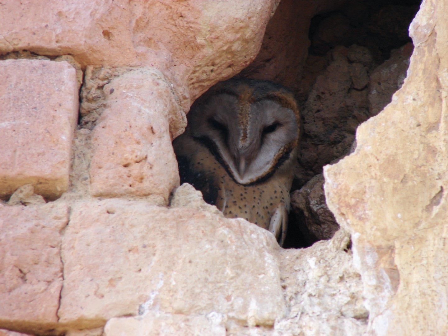 Farm for sale in Ceres Rural P24111673078