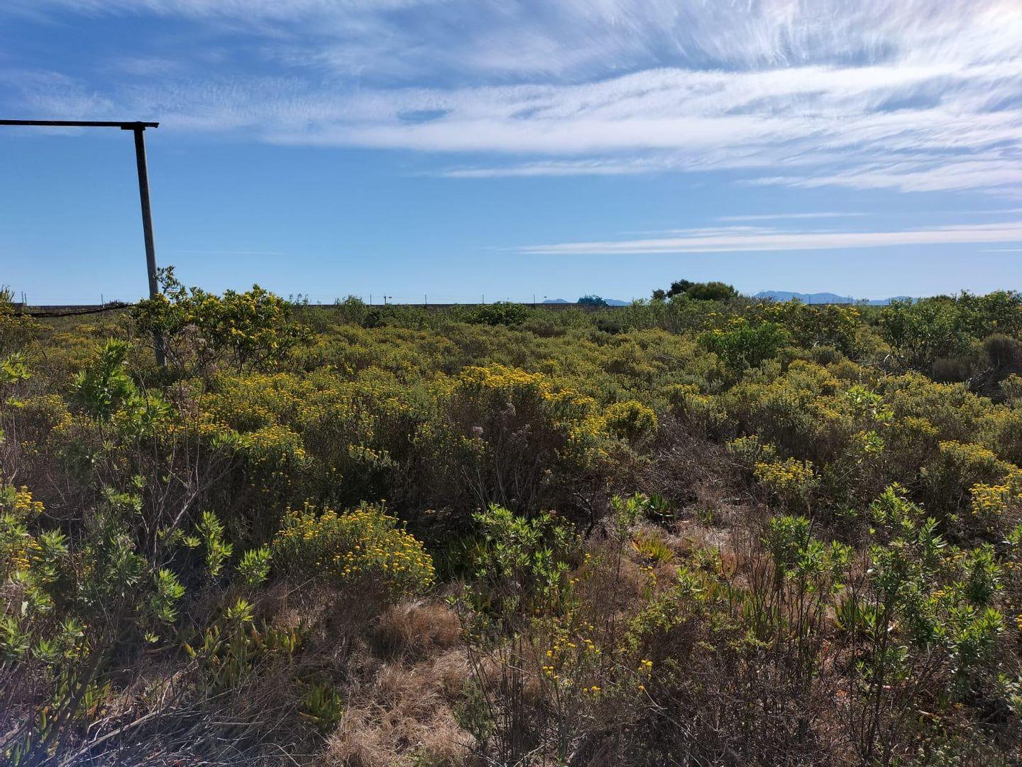 Industrial property for sale in Mossel Bay Mossel Bay Property