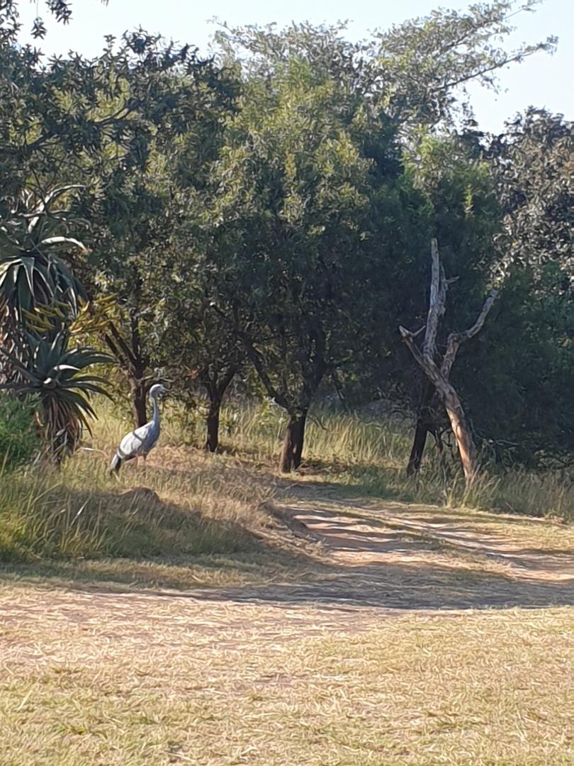 Vacant land / plot for sale in White River Estates P24111713753