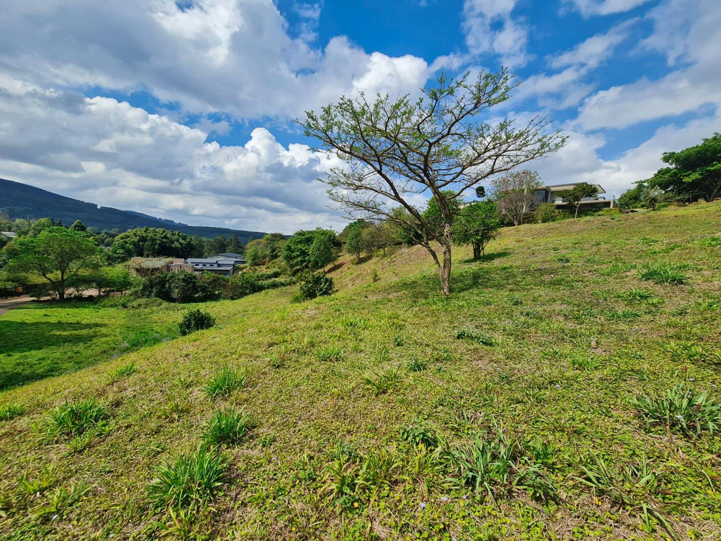 Montrose Property Property and houses for sale in Montrose