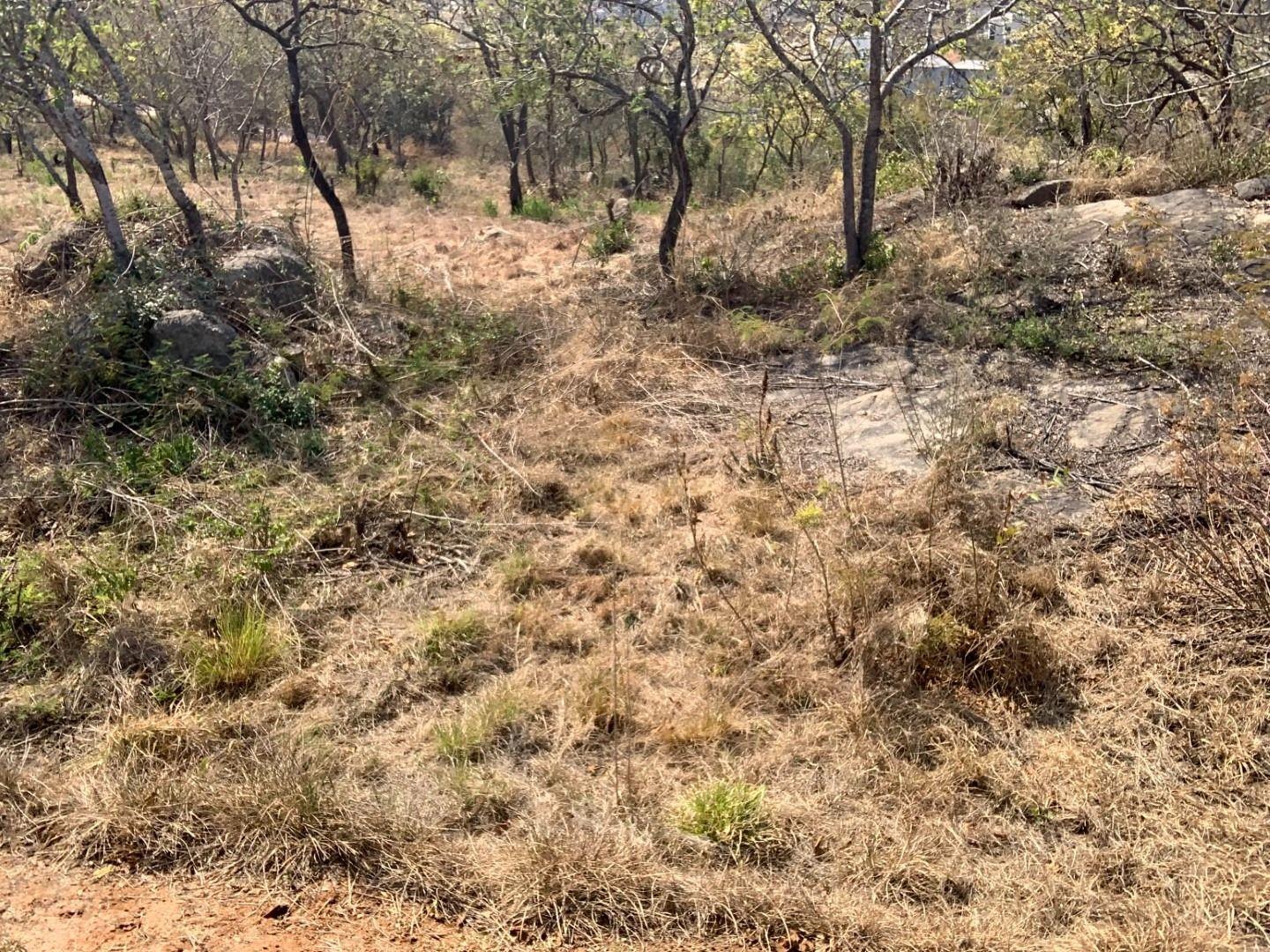 Vacant land / plot for sale in Drum Rock 242 Penryn Road P24111745019