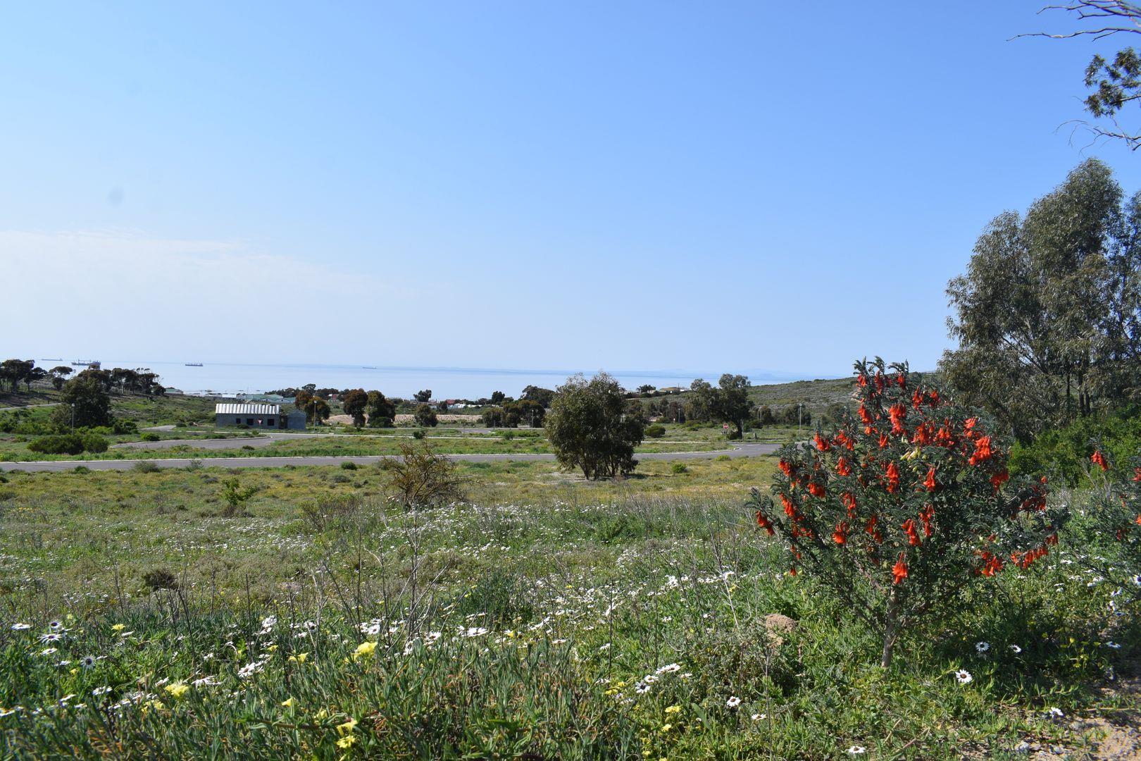 Vacant land / plot for sale in St Helena Views 14 Snook P24111748454