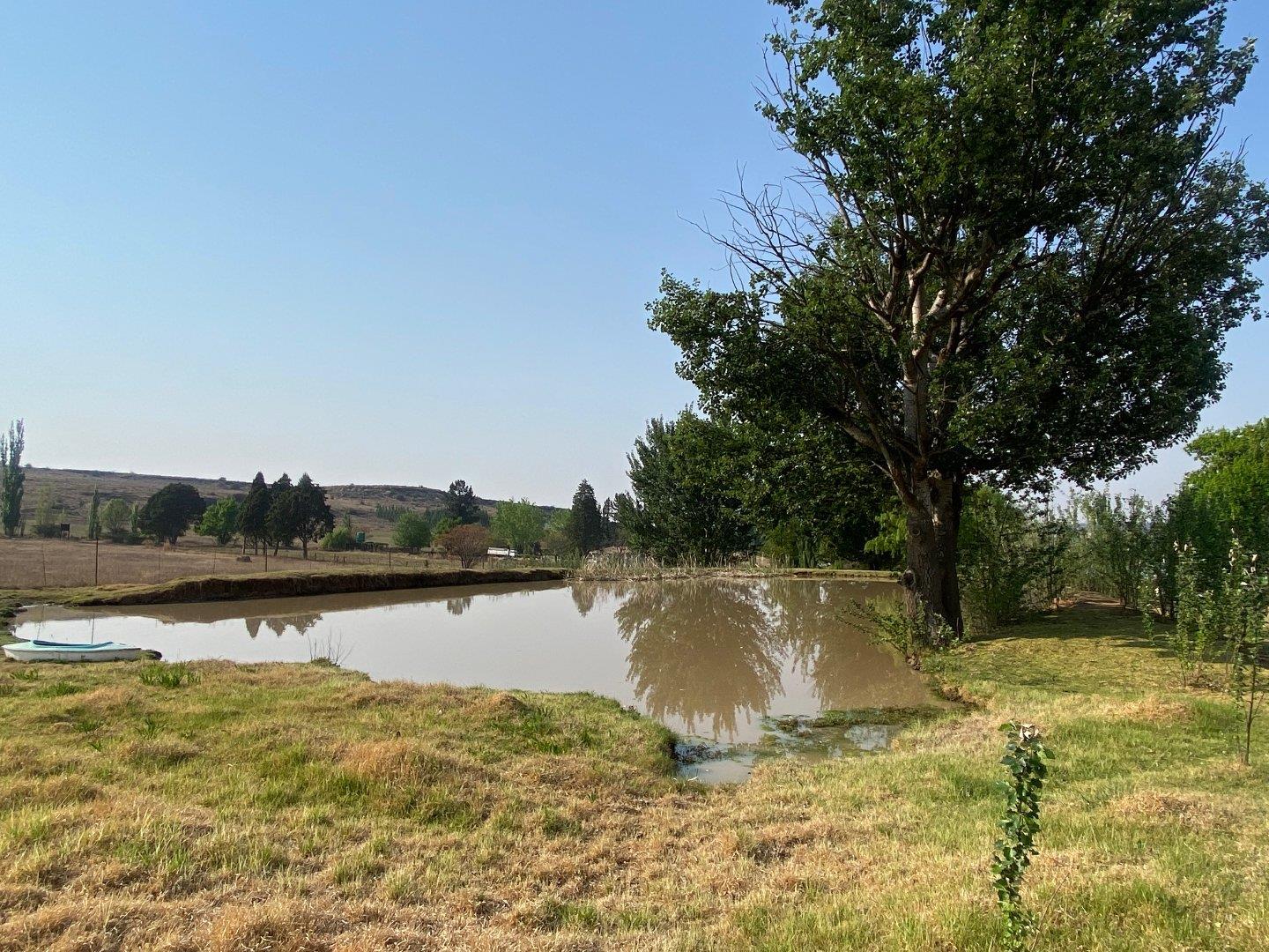 Property and houses for sale in Bethlehem Bethlehem Property